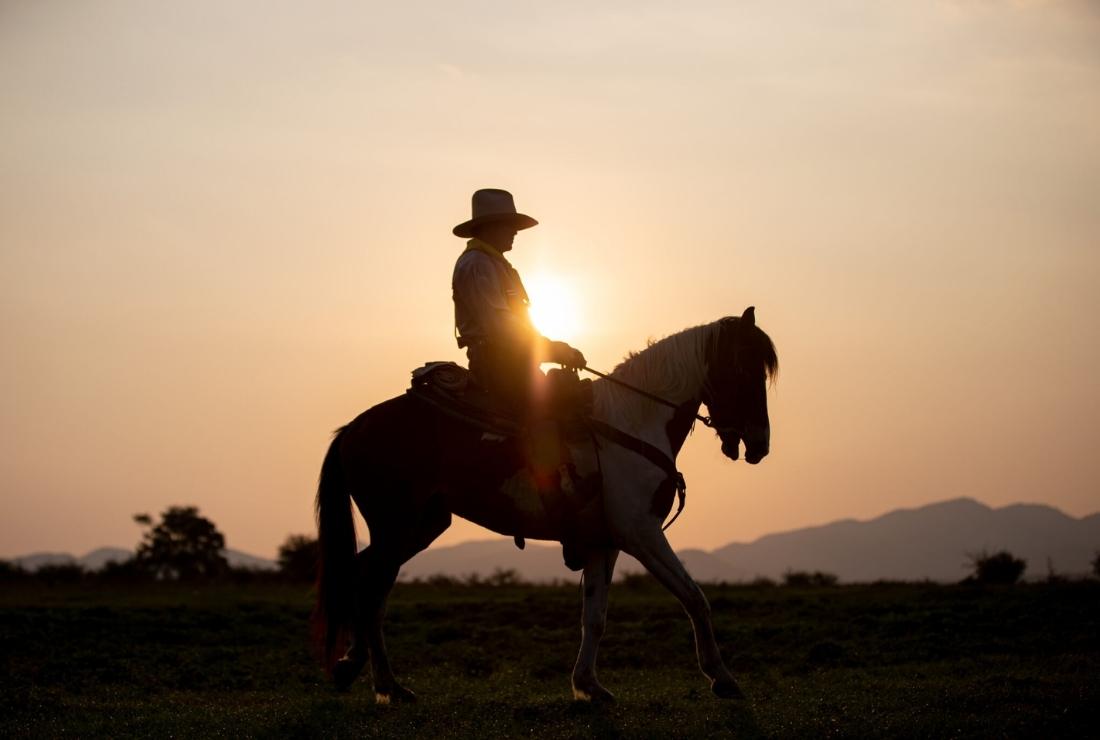 Online-Westernshop