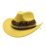 Filzcowboyhut mit federbesatz