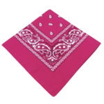 Fuchsia western paisley bandana
