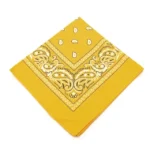 Goldene western paisley bandana Goldene western paisley bandana